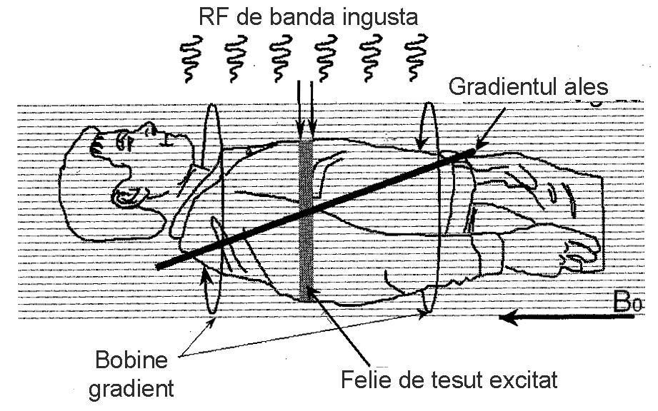 Variatia frecventei de