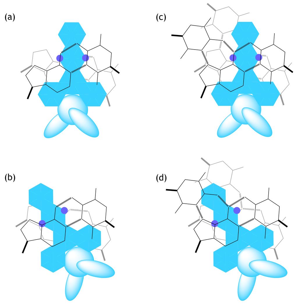 FIGURE S3: Cartoons depicting potential intercalation geometries for Δ [Ru(phen) 2 dppz] 2+ bound to duplex [poly(da)] [poly(dt)], and triplex [poly(dt)]*[poly(da)] [poly(dt)].