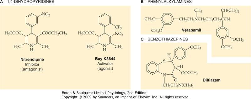 Antagonisti si Agonisti ai Canalelor de Ca 2+ de