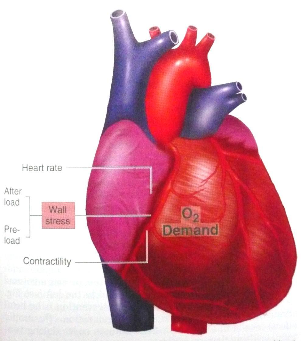 Legea lui Laplace exprima interrelatia T p in functie de raza (r) si grosimea peretilor (h): Presarcina Postsarcina Frecventa cardiaca Tensiune parietala Contractilitate Consum de oxigen T =