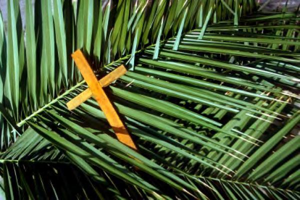 traditional Palm Sunday