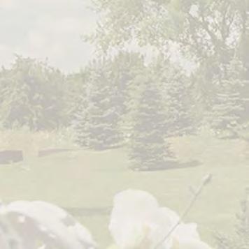 chapellawn.