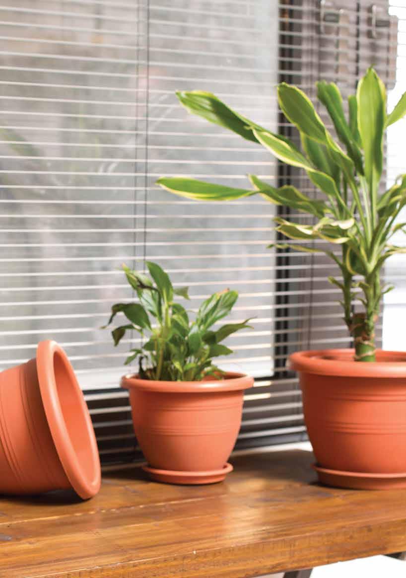 86 S E R V I C E / E X P E R I E N C E / Q U A L I T Y 87 64 lt 48 lt 48,00 cm 42,00 cm S E R V I C E / E X P E R I E N C E / Q U A L I T Y Ø 56,00 cm Ø 51,00 cm Code: 00320103 Γλάστρα τερακότα Νο