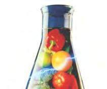 V II TA M II N E Vitaminele sunt o clasă de substanţe foarte eterogenă din punct de vedere chimic, a căror nume, însemnând "amina vieţii", a fost dat iniţial unor substanţe ce conţineau grupări
