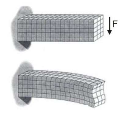 Smičući i normalni naponi u poprečnom preseku grede su raspoređeni neravnomerno, pa je neravnomerna i ugaona deformacija po poprečnom preseku grede.
