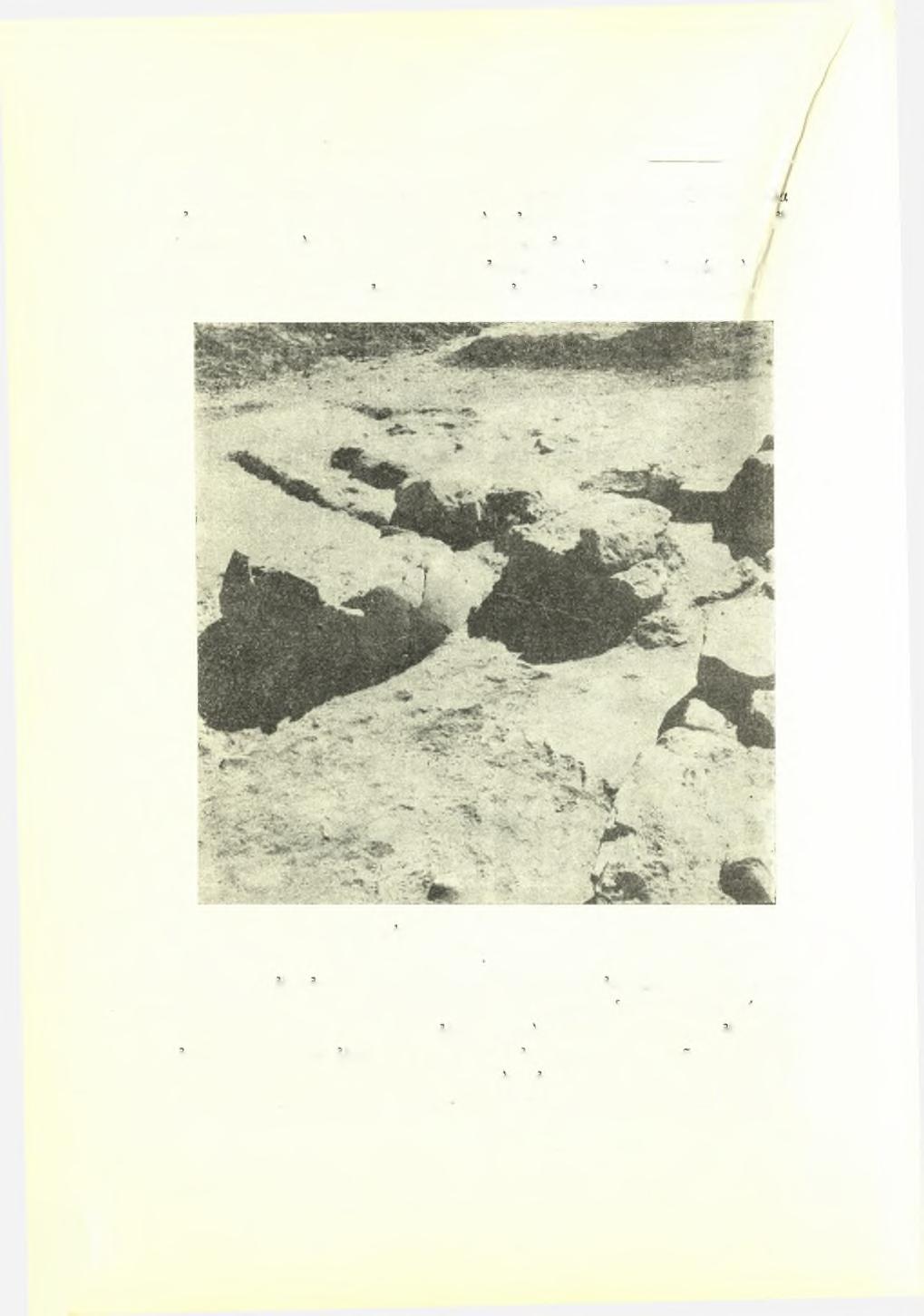 138 Πρακτικά τής Αρχαιολογικής Εταιρείας 1952 σασα άφοονώτατα κεραμεικά λείψανα, καί μερικώς μία όίλλη (Β)' δύο άλλ οικήματα (Γ καί Δ), κείμενα παρά την οικίαν Α, ήρευνήοησαν μόνον,εξ έπιπολής, διά