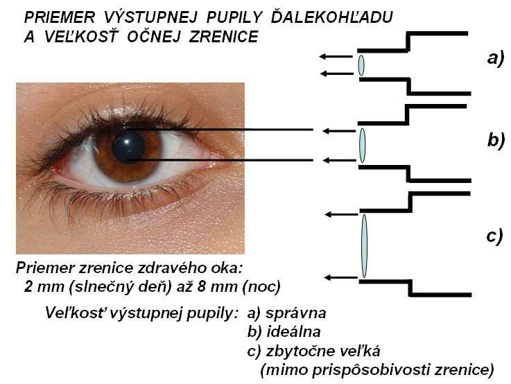 38 V geologicky dlhých časových úsekoch sa precesia prejavuje zmenou orientácie zemskej osi, čo spôsobuje dlhodobé posúvanie ročných období vzhľadom na kalendár.