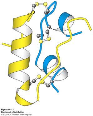 Struktura inzulina Inzulin je izgrađen od dva lanca, A i B koji su međusobno povezani s dvije disulfidne veze (interchain linkage).