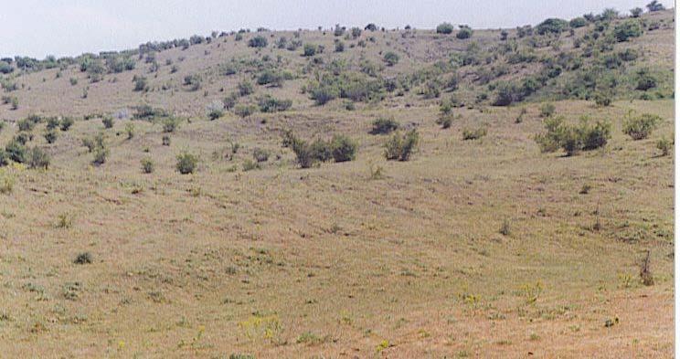 7. Rezervatia botanica Fânatul de la Glodeni Pe versantul estic al dealului Glodeni, în apropierea localităţii Glodeni -Negreşti la cca.