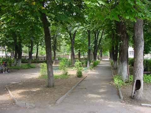 Municipiu/oraş JUDEŢUL VASLUI Municipiul Vaslui Suprafaţa totală spaţii(ha) Suprafaţa spaţiu verde mp/locuitor 100 16,37 44,8 Zone de agreement (ha) Municipiul Bârlad 95 13,9 107,0 Municipiul Huşi 28