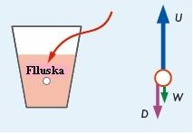 SHEMBULL I ZGJIDHUR Emërtoni forcat që veprojnë mbi një flluskë ajri që gjendet në një gotë me lëng të gazuar. U : Forca ngritëse e lëngut që ushtrohet në flluskë (Nga rrjedh: U > W + D).