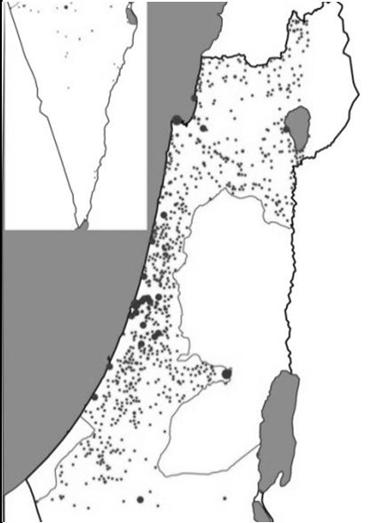כלומר היהודים האשכנזים )ראו גם: חסון,.