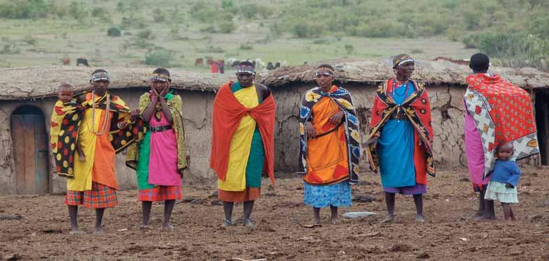 Na safariju u rezervatu Maasai Mara uspjeli smo vidjeti i Big Five - pet životinja koje je najteže uloviti: lav, slon, leopard, nosorog i bizon ANZANIJA raznici s nogama u pijesku godine i