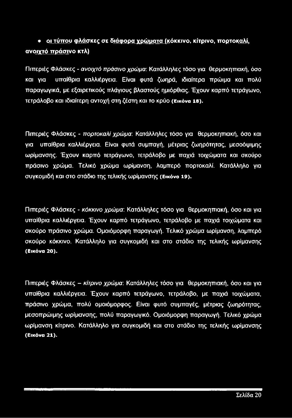 Πιπεριές Φλάσκες - πορτοκαλί χρώμα: Κατάλληλες τόσο για θερμοκηπιακή, όσο και για υπαίθρια καλλιέργεια. Είναι φυτά συμπαγή, μέτριας ζωηρότητας, μεσοόψιμης ωρίμανσης.