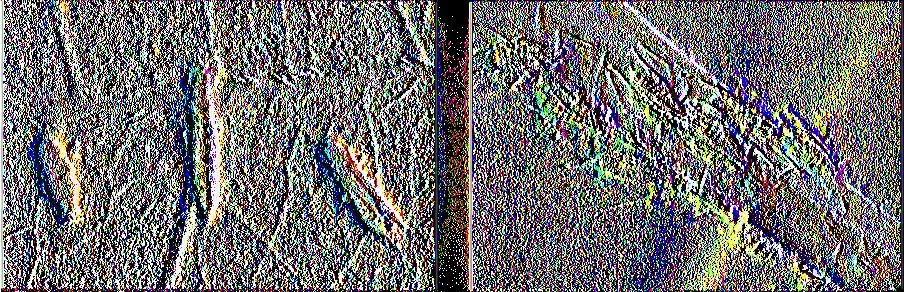 και στην καλλιέργεια της πιπεριάς.