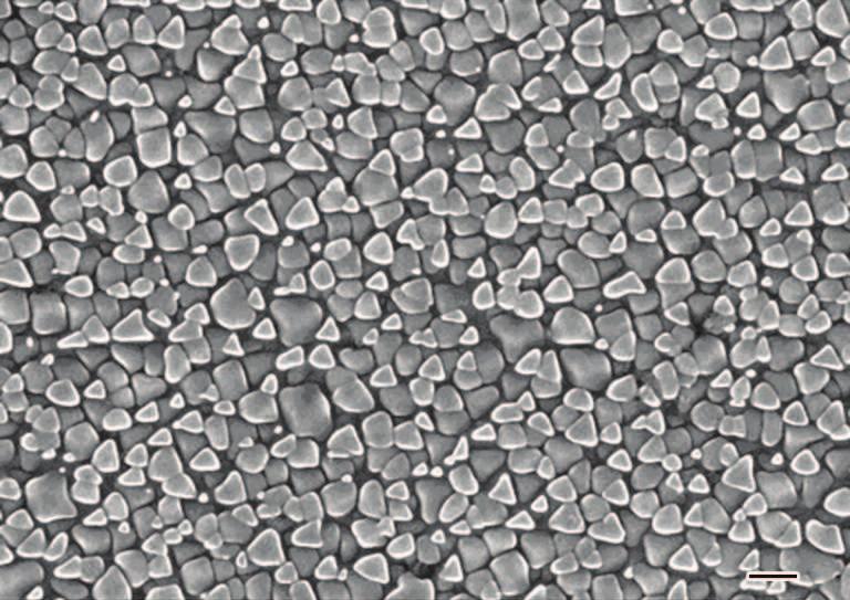 1012 ± 48 γ ßÑÙ, γ/γ Ð Ô [8]. Æ Ä ¼ ÈÐ, Æ γ ² Ö (doublet of plantes) Í Ç (octet of cubes), γ Ç Í, Ç³ γ [9 11]. º Hf Ñ Ñ Ù± Æ γ Ç Í± Ç Õ, Á ¾ Ö Â È Ù ß¼. 1 Ð ³ È FGH97 Î Ñ, ÚÅ («, %) : Co 15.75, Cr 9.