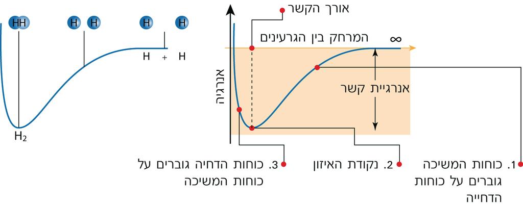 איור 8: שינויי האנרגיה כפונקציה של המרחק בין שני אטומי מימן נתייחס להלן לשלושה מצבים המתוארים בתרשים: 1.