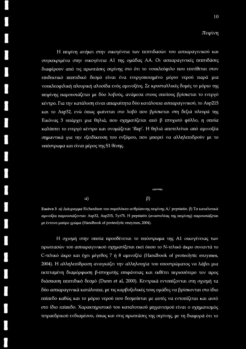 β πτυχωτό φύλλο, η οποία καλύπτει το ενεργό κέντρο και ονομάζεται 'flap'.