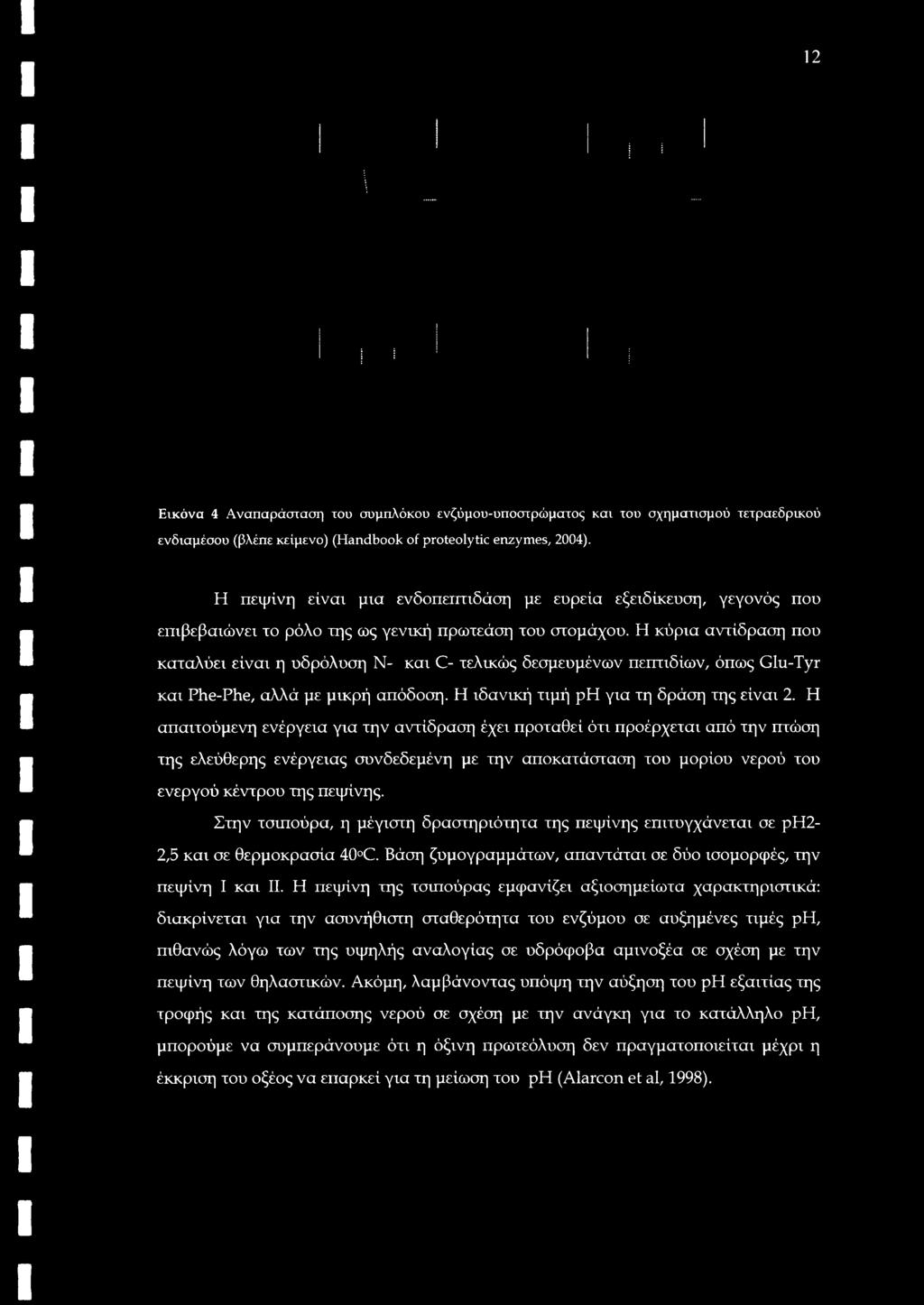 Η κύρια αντίδραση που καταλύει είναι η υδρόλυση Ν- και C- τελικώς δεσμευμένων πεπτιδίων, όπως Glu-Tyr και Phe-Phe, αλλά με μικρή απόδοση. Η ιδανική τιμή ph για τη δράση της είναι 2.