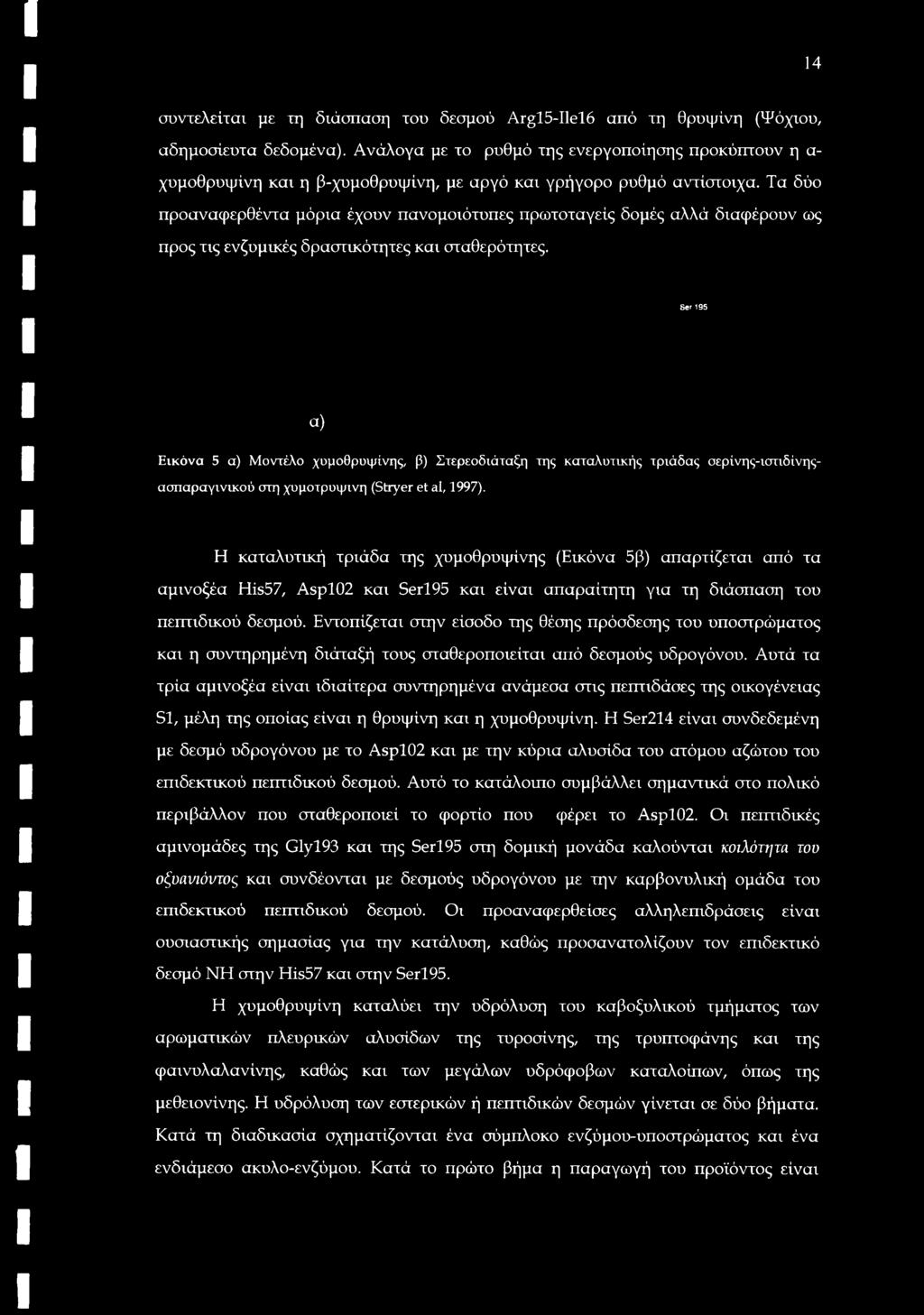 Τα δύο προαναφερθέντα μόρια έχουν πανομοιότυπες πρωτοταγείς δομές αλλά διαφέρουν ως προς τις ενζυμικές δραστικότητες και σταθερότητες.