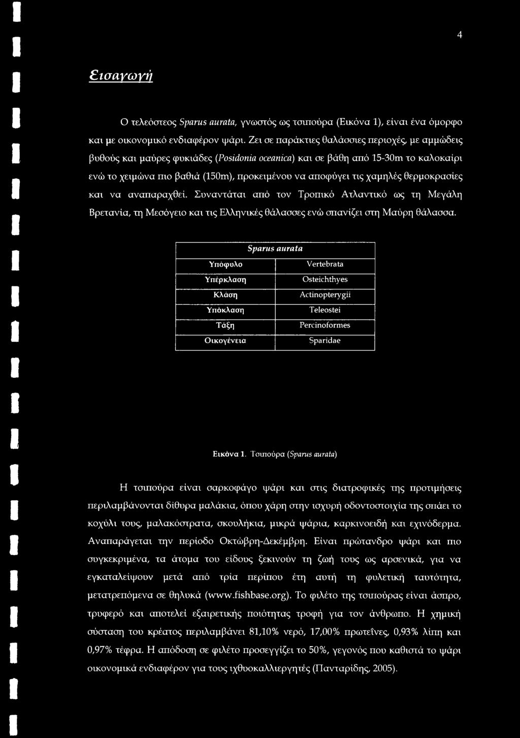 χαμηλές θερμοκρασίες και να αναπαραχθεί. Συναντάται από τον Τροπικό Ατλαντικό ως τη Μεγάλη Βρετανία, τη Μεσόγειο και τις Ελληνικές θάλασσες ενώ σπανίζει στη Μαύρη θάλασσα.