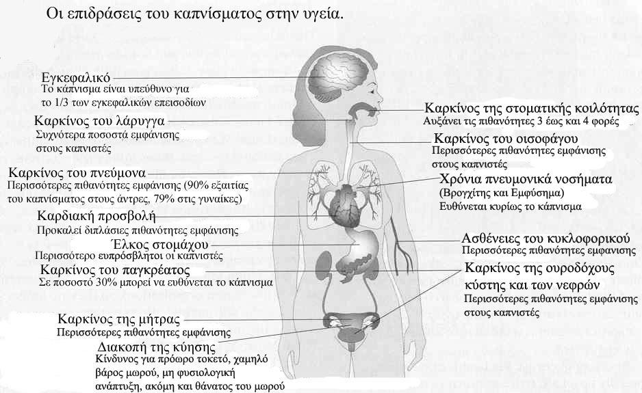 ΠΑΝΕΠΙΣΤΗΜΙΟ ΘΕΣΣΑΛΙΑΣ ΤΜΗΜΑ ΕΠΙΣΤΗΜΗΣ ΦΥΣΙΚΗΣ ΑΓΩΓΗΣ ΚΑΙ ΑΘΛΗΤΙΣΜΟΥ ΕΡΓΑΣΤΗΡΙΟ ΨΥΧΟΛΟΓΙΑΣ ΤΗΣ ΑΣΚΗΣΗΣ ΚΑΙ ΠΟΙΟΤΗΤΑΣ ΖΩΗΣ Επισκεφθείτε την ιστοσελίδα: ΣΕ ΣΥΝΕΡΓΑΣΙΑ ΜΕ ΤΟΥΣ ΚΑΘΗΓΗΤΕΣ ΤΗΣ ΠΛΗΡΟΦΟΡΙΚΗΣ