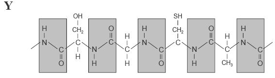 2º BAC BIOLOXÍA UNIDADES 1, 2, 3, 4 4 c) Describa brevemente a función biolóxica dos triacilglicéridos e indique que compostos se obteñen da súa hidrólise. 3.6.