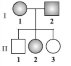 γ. Με κατάλληλο συμβολισμό να δείξετε πάνω στο γενεαλογικό δέντρο τα άτομα που 100% είναι φορείς αυτοσωμικού υπολειπόμενου γονιδίου. 5.5.20.