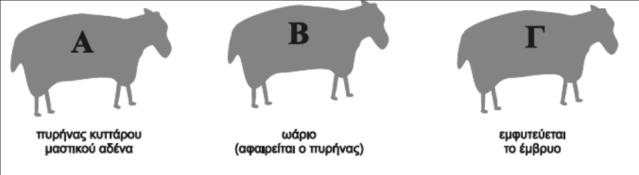 Γ. Ερωτήσεις τύπου σωστό-λάθος. Να χαρακτηρίσετε τις παρακάτω προτάσεις ως σωστές (Σ) ή λανθασμένες (Λ) 9.3.7.