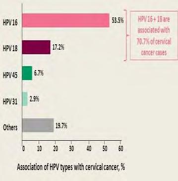των HPV κατανέμονται σε διαφορετικές περιοχές με διαφορετική συχνότητα.