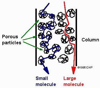 Χρωματογραφία μοριακού αποκλεισμού (size exclusion chromatography): Τα συστατικά διαχωρίζονται σύμφωνα με το μέγεθός τους και δεν παρατηρείται αλληλεπίδραση μεταξύ των προς διαχωρισμό συστατικών και