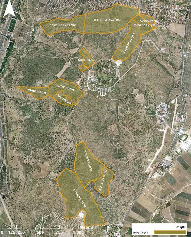תמונה 4.
