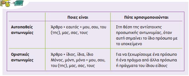 Ο δεύτερος κανόνας αναφέρεται στις αυτοπαθείς και οριστικές αντωνυμίες, στο ποιες είναι και πότε χρησιμοποιούνται. Εικόνα 23.