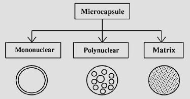 1000μm تأخد عدة أشكال مثل )Micro encapsulation) تغليف صغير 2.