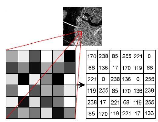 Ψηφιακή Εικόνα Αποτελείται από διακριτά στοιχεία (εικονοστοιχεία pixels) Σε κάθε pixel καταγράφεται η τιμή της έντασης της ακτινοβολίας σε