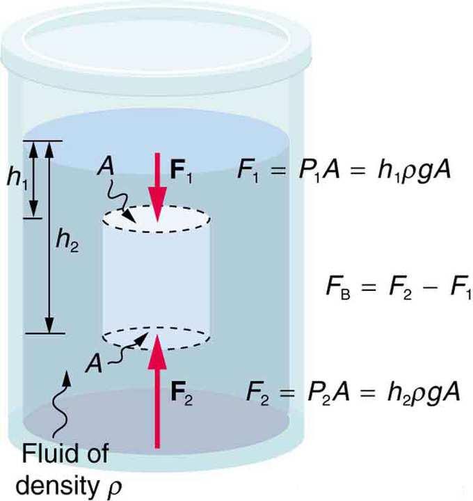 F p F p Statika fluida Sila potiska Na tijelo potopljeno u vodi djeluju: Sile bočnog pritiska koje su uravnotežene jer su istog intenziteta, a suprotnog smijera, sile pritiska odozgo i odozdo, koje