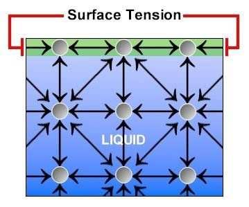 Površinski napon Pojave koje se javljaju u površinskom sloju tečnosti kao posljedica međumolekularnih sila: Djeluju veoma intenzivno samo na kratkim rastojanjima koja ne prelaze 6 nm (R=3r), Brzo