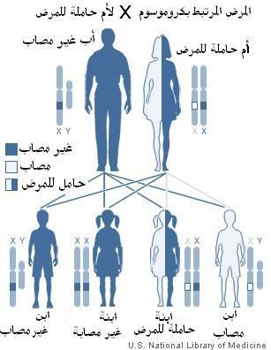 وعليه فان االنثى ال يحدث فيها نمو اللحية بصورة عامة لعدم استطاعتها افراز الهرمونات الالزمة لنمو شعر الوجه.