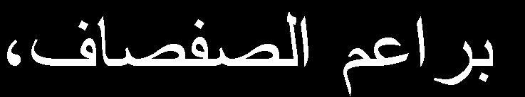 (: فظ ١ خ