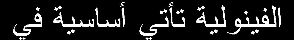 شوج ١ غ ١