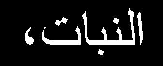 10.انطكم