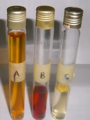 B C 41