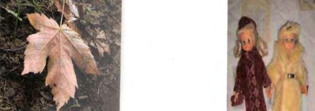 , 224