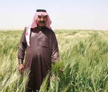 وقد رك ز المشروع في العام ٢٠١٣ على آثار المياه العادمة المعالجة على إنتاجية النباتات وحدود استخدام المياه العادمة المعالجة في ري الحقول الزراعية وتقييم األثر البيئي.