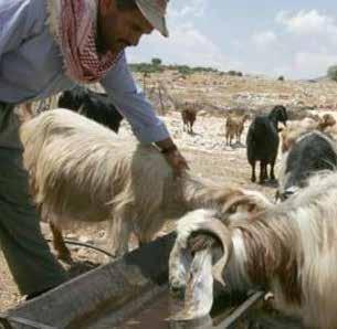 ولذلك ت نفذ دراسة واعدة لزيادة التنوع األحيائي الزراعي في األراضي المنخفضة اإلنتاجية والتي تختلف مستويات المياه فيها وترتفع نسبة الملوحة بتربتها.