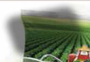 suggestion Σπανάκι σε φύλλα Μπάρμπα Στάθης 1000gr Barba Stathis spinach 1000gr 3,47 3,78 2,65 Mini pizza Special Κανάκι 315gr Kanaki Special Mini