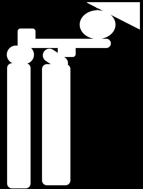 moléculas anfipáticas (contan cunha rexion polar e outra non polar). Ceramida Son constituíntes fundamentais das membranas celulares. Abundan no sistema nervioso.