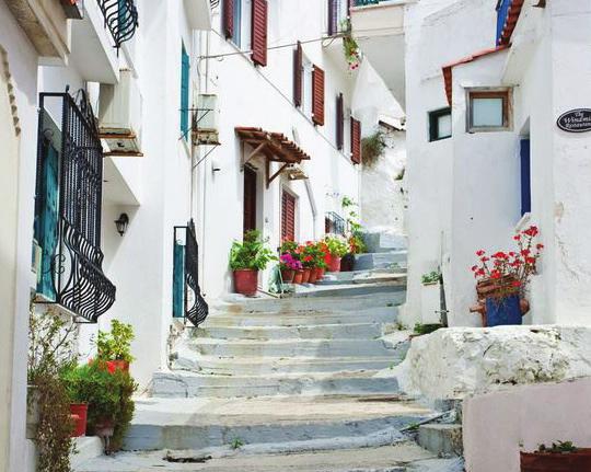 SKIROS PALACE 4* Σκυριανά αλογάκιa ΜΥΘΟΙ και παράδοση! Αρχαιολογικό & Λαογραφικό Μουσείο Φάλταϊτς, γύρος του νησιού & επίσκεψη σε φάρμα με σκυριανά αλογάκια!