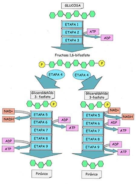 6C 2 6C 3C 3C http://recursos.cnice.mec.