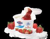 49 επιδόρπιο γιαουρτιού yoghurt